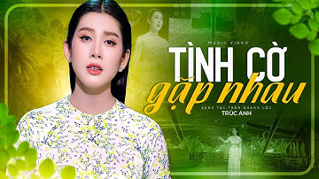 Tình Cờ Gặp Nhau (St: Trần Quang Lộc) | Trúc Anh (Á Quân Người Kể Chuyện Tình 2023)