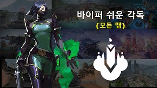 바이퍼 모든 맵 쉬운 각독 모음