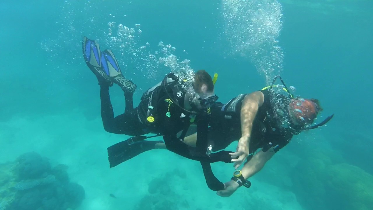 Scuba Diving in The Great Barrier Reef Cairns, Australia 2017 YouTube