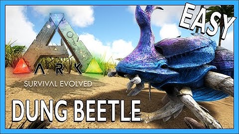 How To Tame A Dung Beetle In Ark Survival Evolved