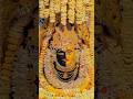 #mahakalstatus #morningvibes #morningprayer #educationwithbhakti #AMP Tech