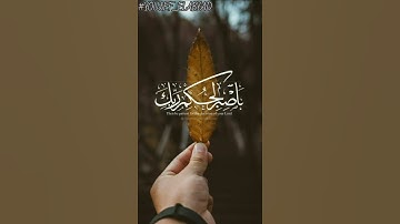 ﴿ و اصبر لحكم ربك فإنك بأعيننا ﴾ سوره الطور الآيه 48 / القارئ رعد الكردي