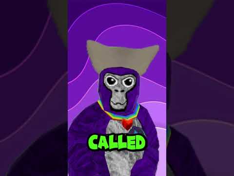 I got Told off by GalaxyGT's Friend Random #gorillatag #gorillatagquest #greengorilla