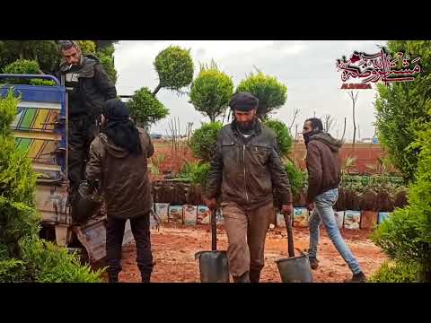 أجمل الورود والمشاتل في العالم مشتل الروضة
