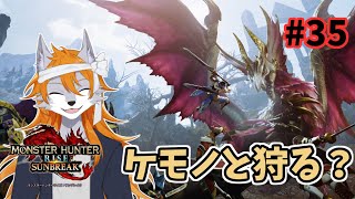【MHR:SB】のんびり参加型モンハン#35【ケモノVtuber】