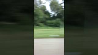 Walmart time lapse