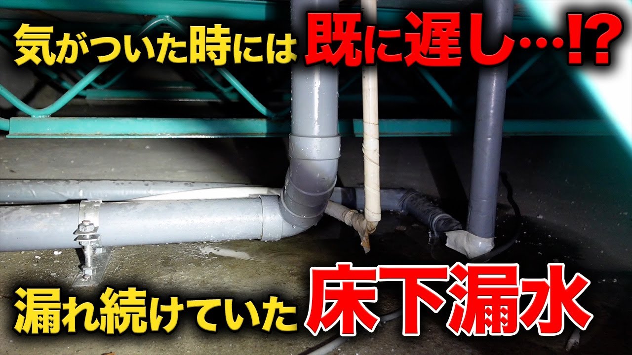 Undetectable Leaks By the Time You Realize [Flower's