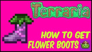 How To Get Flower Boots (With Seed) In Terraria | Terraria 1.4.4.9