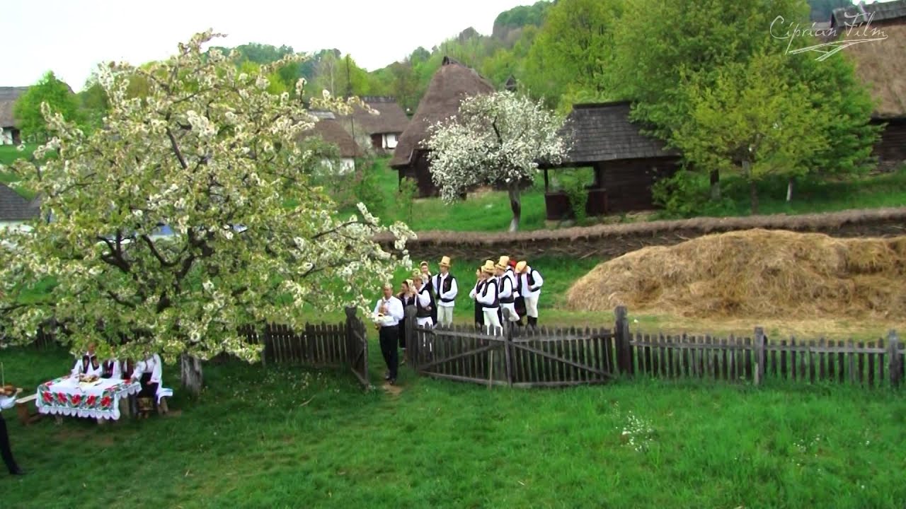 Dorin Filip - Joc instrumental