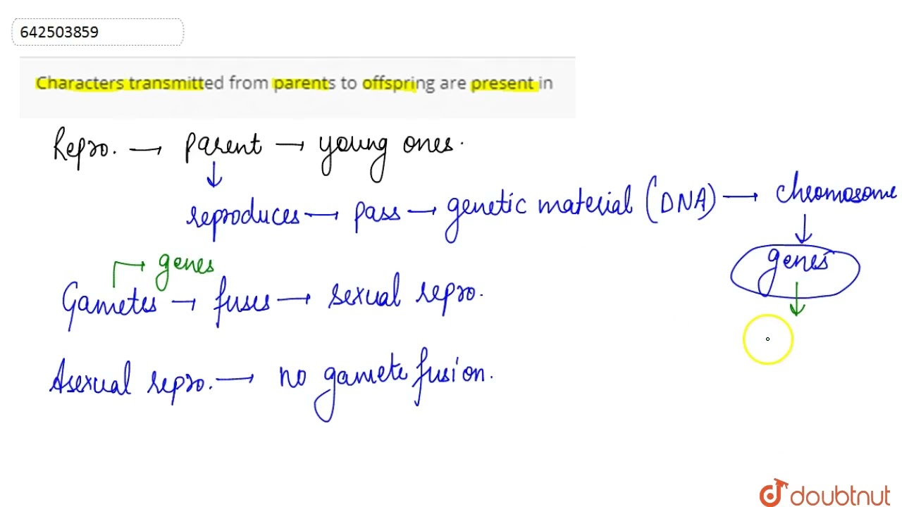 Characters Transmitted From Parents To Offspring Are Present In | 10 | How Do Organisms Reproduc...