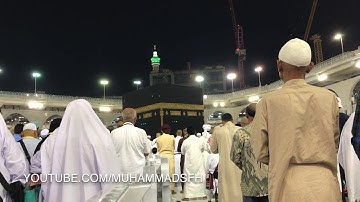 تلاوة هادئة شجية #ياسر_الدوسري (سبحان الذي خلق الأزواج) صلاة الفجر ١٤٤١/٣/٥هـ