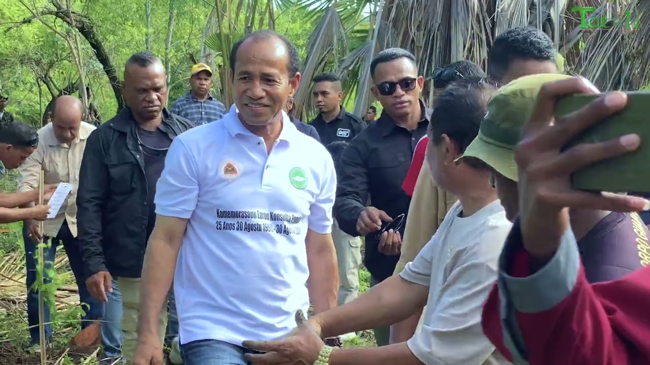 TATOLI ATUÁL -  Governu kuda ona ai kameli ektáre rihun 200 resin