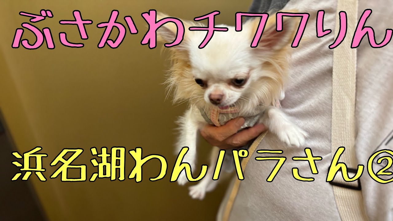 WANさん②