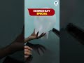National Science Day Special 🔬 | What is Centripetal Force? | Easy Explanation for Students