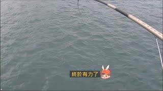 澳仔與澳底漁港 釣況分享 Wild fishing in Taiwan. [嘟嘟釣魚狂#248] 2024/02/29