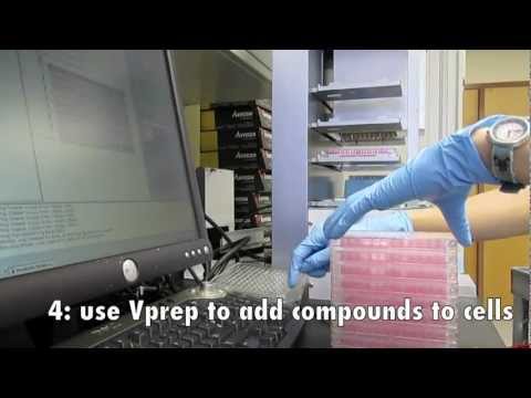 Video: Valkuilen Bij Optische On-line Monitoring Voor High-throughput Screening Van Microbiële Systemen