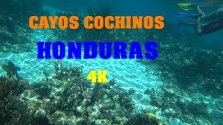 CAYOS COCHINOS HONDURAS 4K