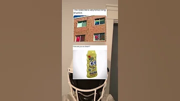 This Looks 