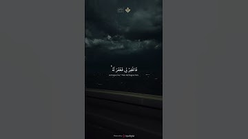 قال رب إني ظلمت نفسي | الآية 16 من سورة القصص | #المنشاوي #quran