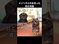 メンヘラと付き合った奴の末路【猫ミーム】【猫マニ】【猫meme】