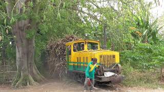 Cane Trains 2019: PG Olean style