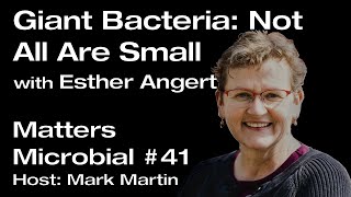Matters Microbial #41: Giant Bacteria:  Not All Are Small! with Esther Angert