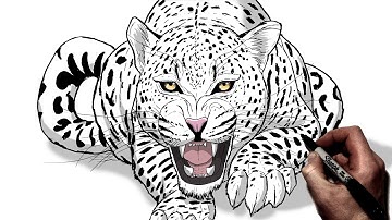 How To Draw A Snarling Jaguar | Step By Step