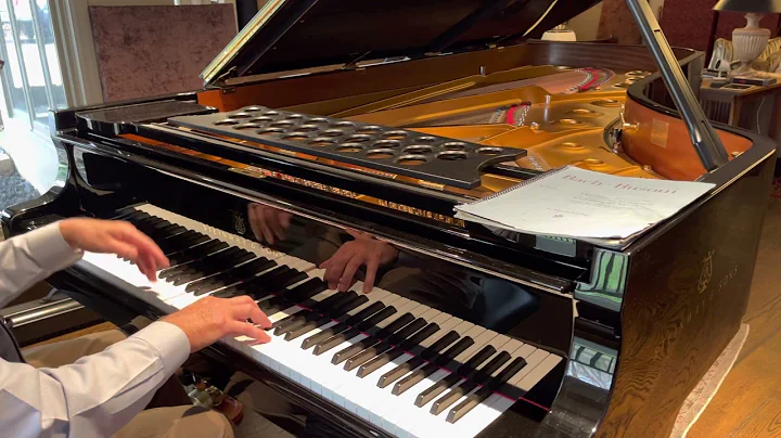 Bach Busoni Chaconne performed by Timothy Albrecht...
