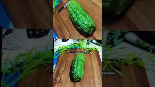 stop motion