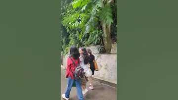 Nice Place Viralvideo Thanksforwatching 