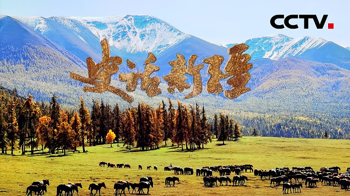 涨知识了！原来新疆的历史是如此的丰富有趣 它还有另一个好听的名字！《史话新疆》【CCTV纪录】