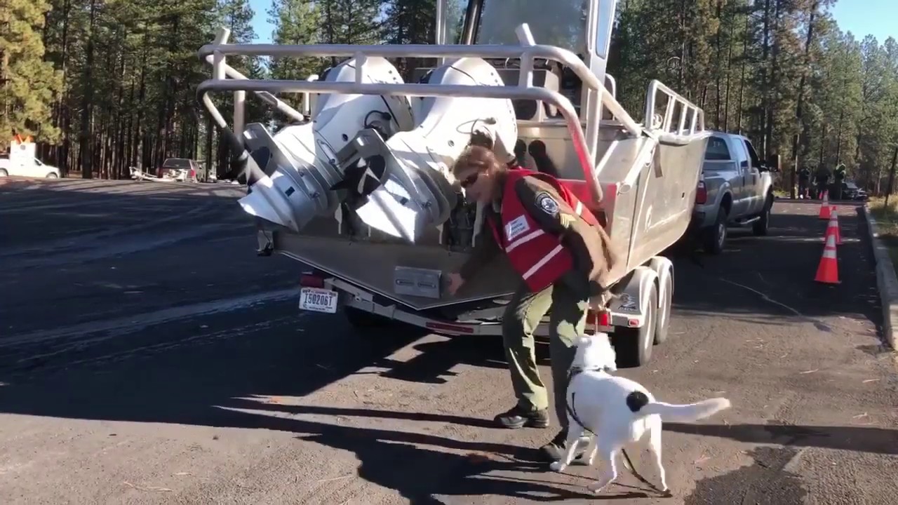 Puddles at Kettle Falls Marina YouTube