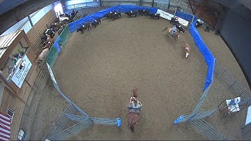 Big Sky Ranch Sorting Saddle Series #6 - #8 HC Ranch Hand - Round #1 - Ride #39