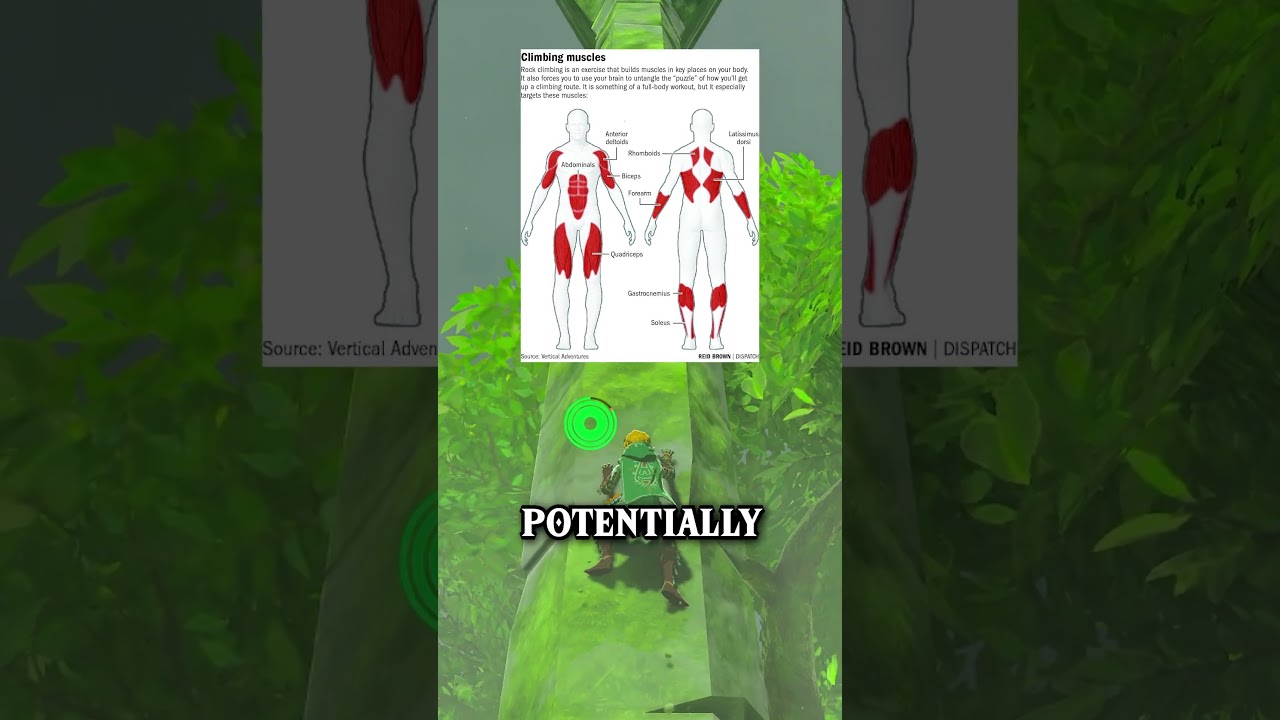 Is Link Stronger in BOTW or TOTK?