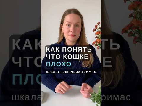 Как понять что