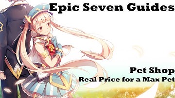 Epic Seven What it Takes to Make a 5 Star Pet