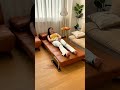 一目惚れする可愛さ!コンパクトな1人掛けソファベッド