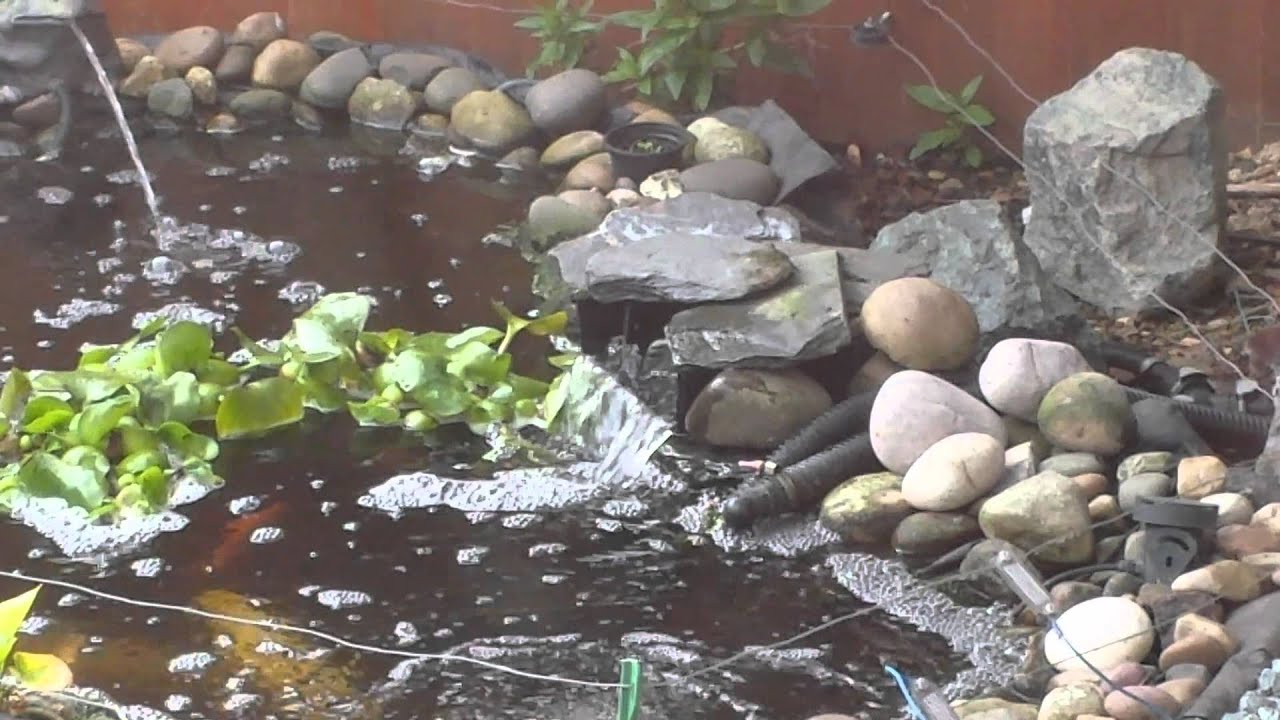 Pond Waterfall YouTube