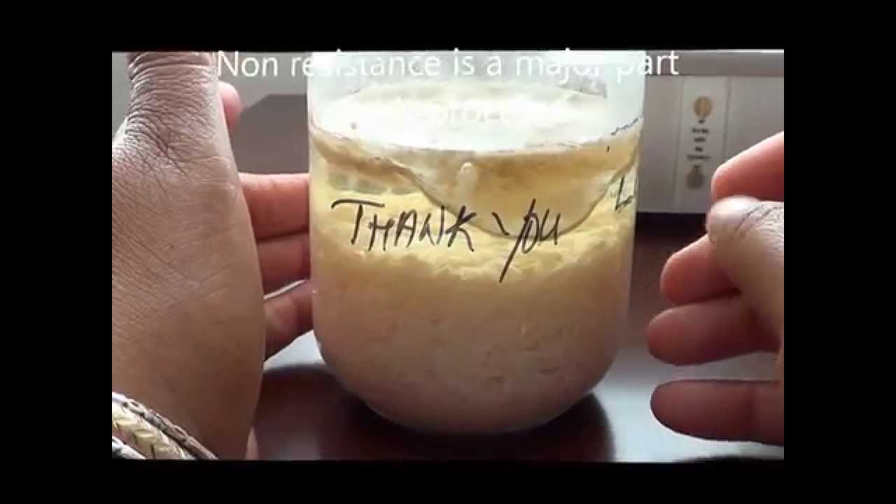 Day 146 147 Water Experiment Changing Negativity Using Positive Words