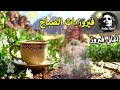 أجمل أغاني فيروز الصباحية           فيروزيات الصباح  قهوة الصباح  صباح الخير  فيروزيات  قهوة  فيروز