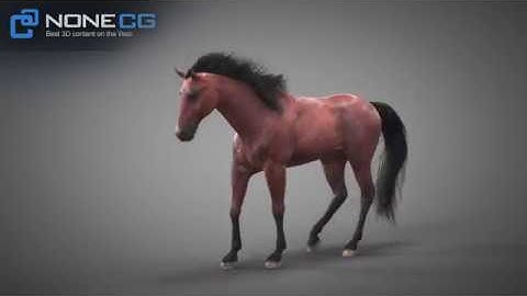 3D Horse Rise