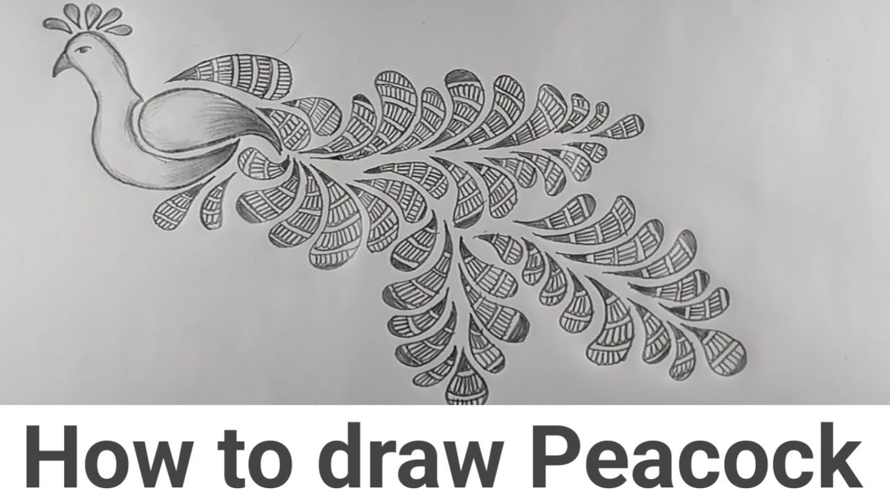 How to draw peacock 🦚 drawing #viral #trending - YouTube