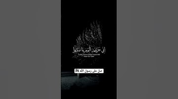سبحان الله وبحمده سبحان الله العظيم   #تلاوات #تلاوة_خاشعة #اسلام_صبحي