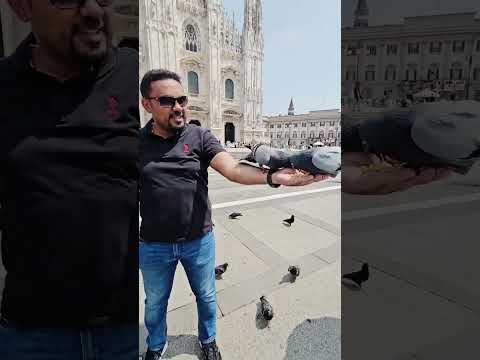 الإنسان ي شبه ما ي حب