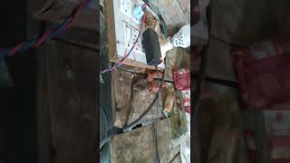 IR SENSOR BASSED HOME AUTOMATION PROJECT