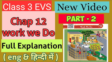 class 3 EVS chap 12 part 2,work we do full explanation,in hindi work we do,class 3 evs  @ss study