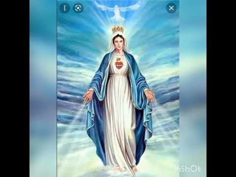 السلام لكى يا مريم حلات وتس صور نادره لى العذراء مريم اشتركو فى القناه