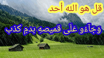 وجاءو على قميصه بدم كذب. تلاوة خاشعة ومؤثرة قرآن كريم