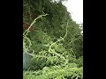 🥀🌿🌹OMG 🌿🥀🌿