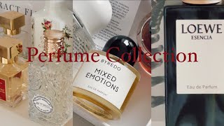 PERFUME COLLECTION: Fragrance Favorites 🌳